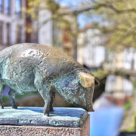 Ohlerich Speicher App_ 45 Hotel Wißmar